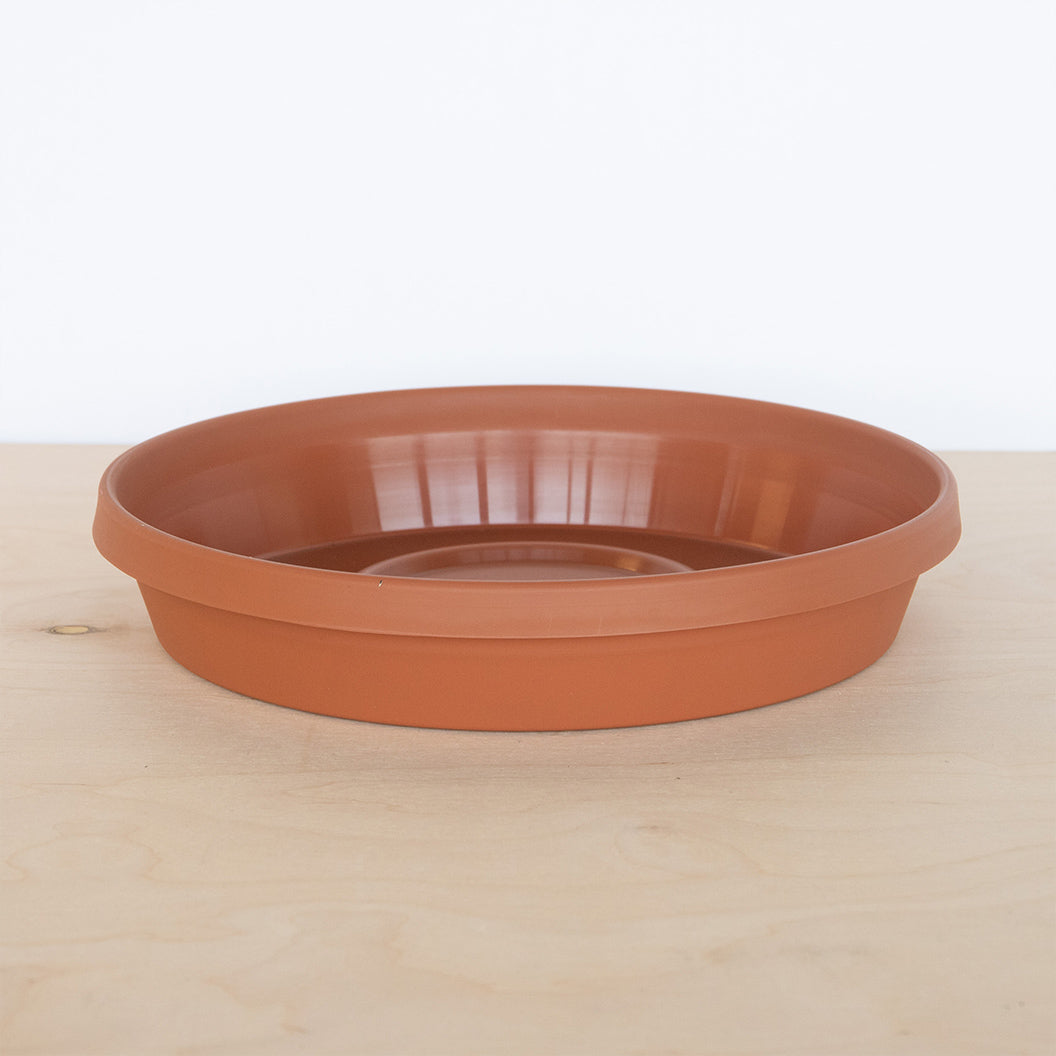 BLoem-Terra-Tera-saucer-1_788388ba-6a0f-424b-a871-5dcbed3b9b3e