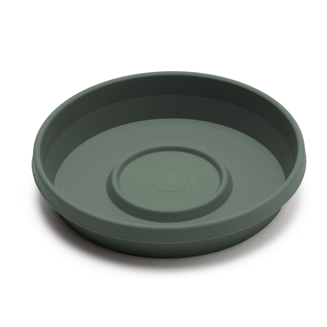 Basil-Bloem-Saucer_04404677-7fbe-43c2-a0f0-b94cd6b8845a