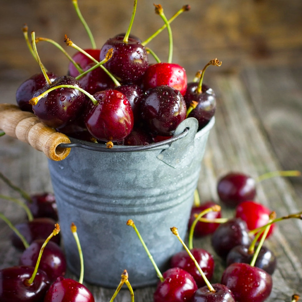 Black_Tartarian_Cherry_Tree_3_FGT_d3eae176-d907-4e5c-9b29-f550263d0b7d