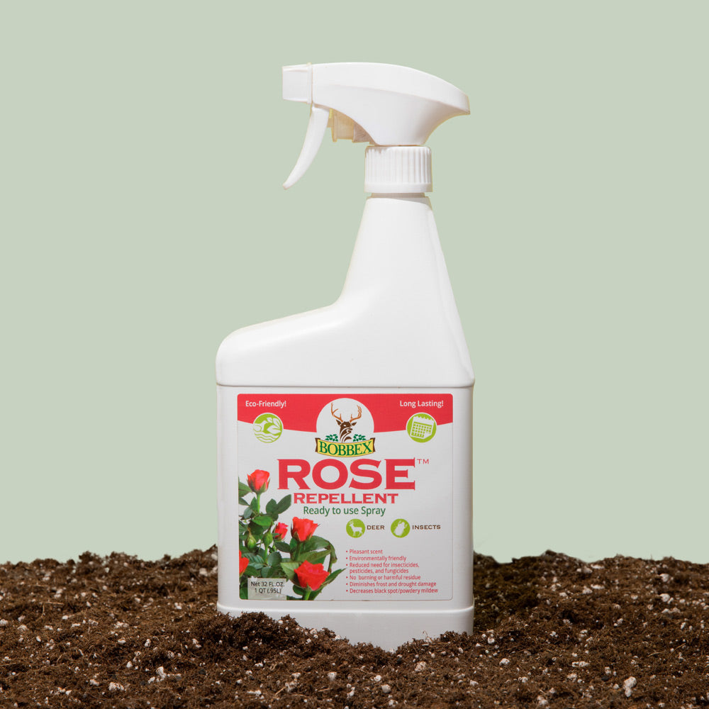 Bobbex-ROse-SPray2