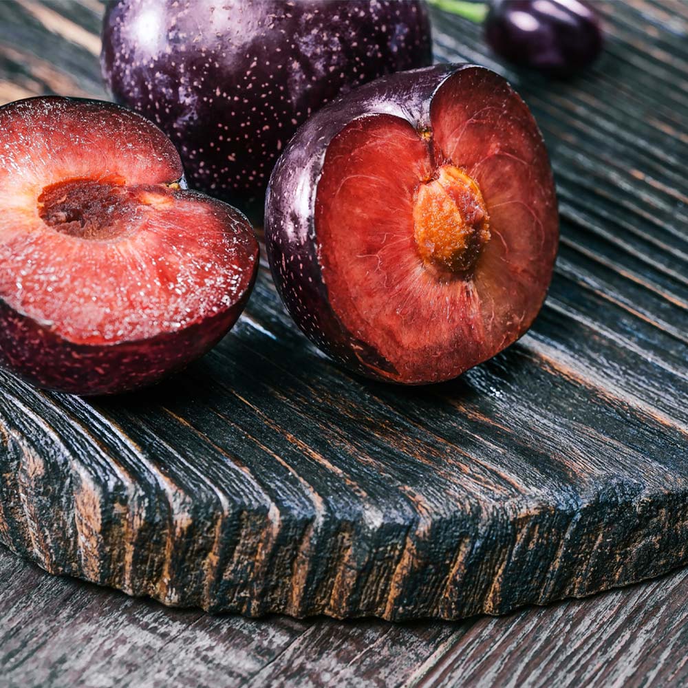 Burgundy_Plum_2