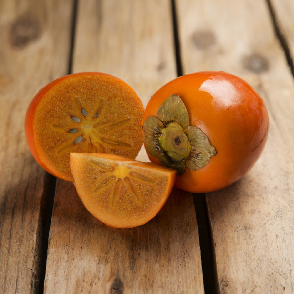 CHocolate_Persimmon