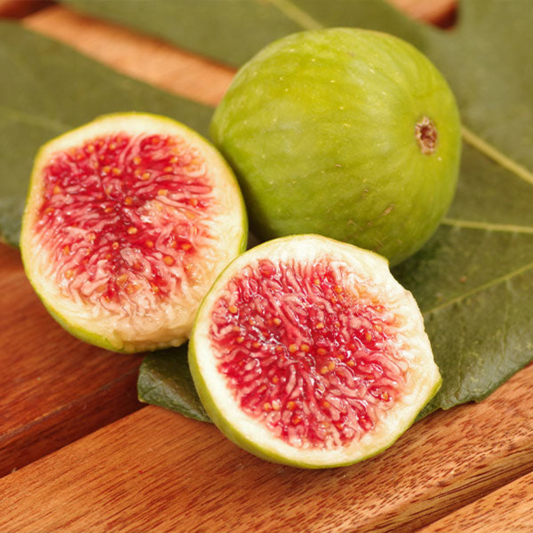 DEsert-King-FIg_600x600_edaf643e-2ab1-4958-b51b-800c879edde9