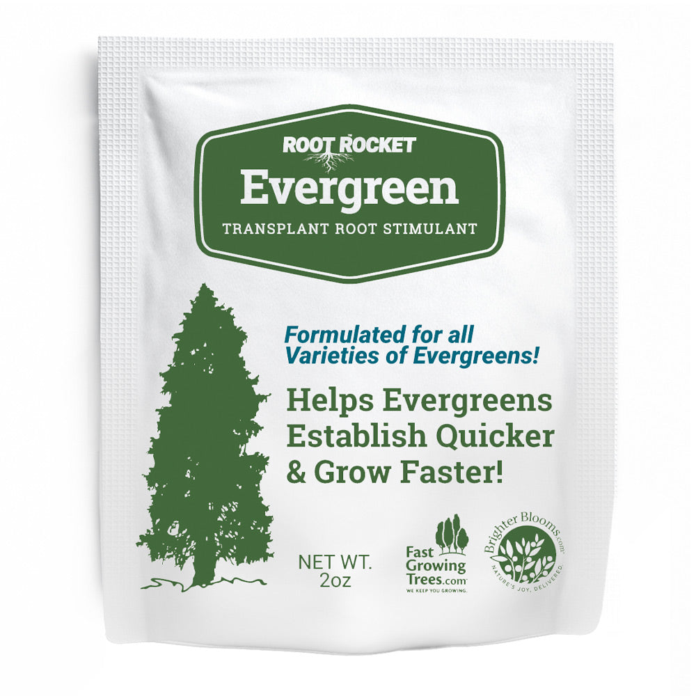 Evergreen-Rocket-front