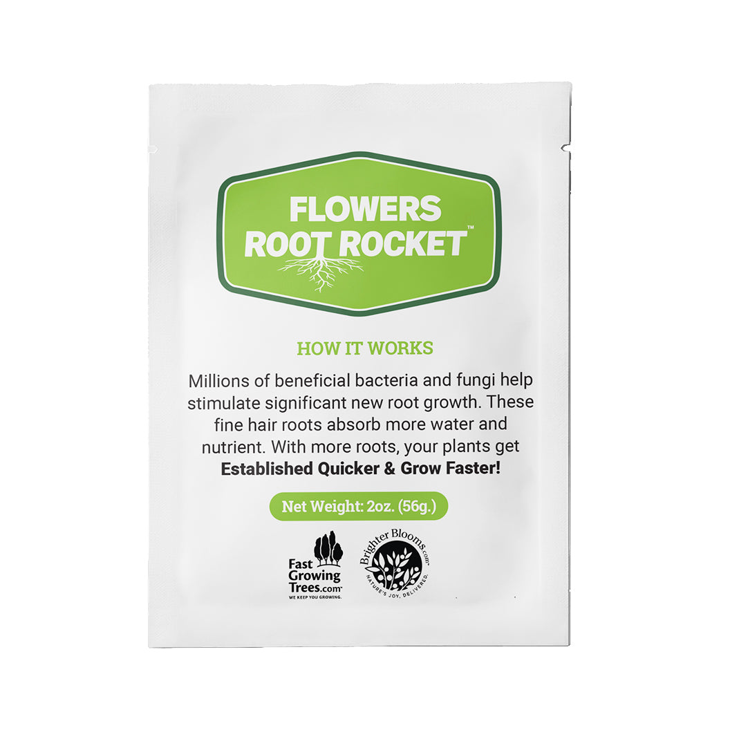 FLowers-root-rocket-2_a2e40a5f-db48-4dbb-a077-72b4665bf5d7