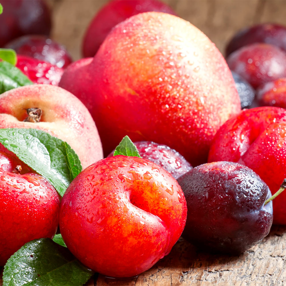 Fruit_Cocktail_Tree_4