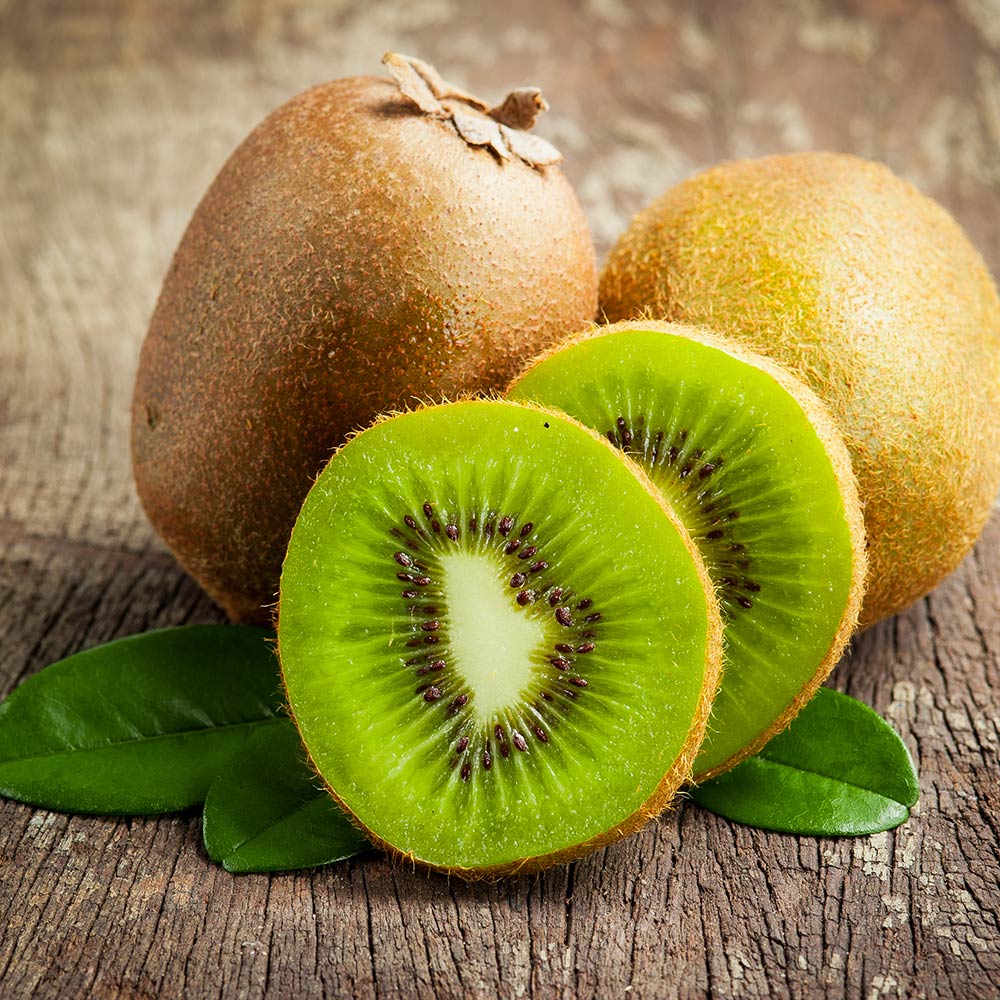Fuzzy_Kiwi_3_FGT_bd9e1dd9-cf22-477c-8af7-caf6fca01775
