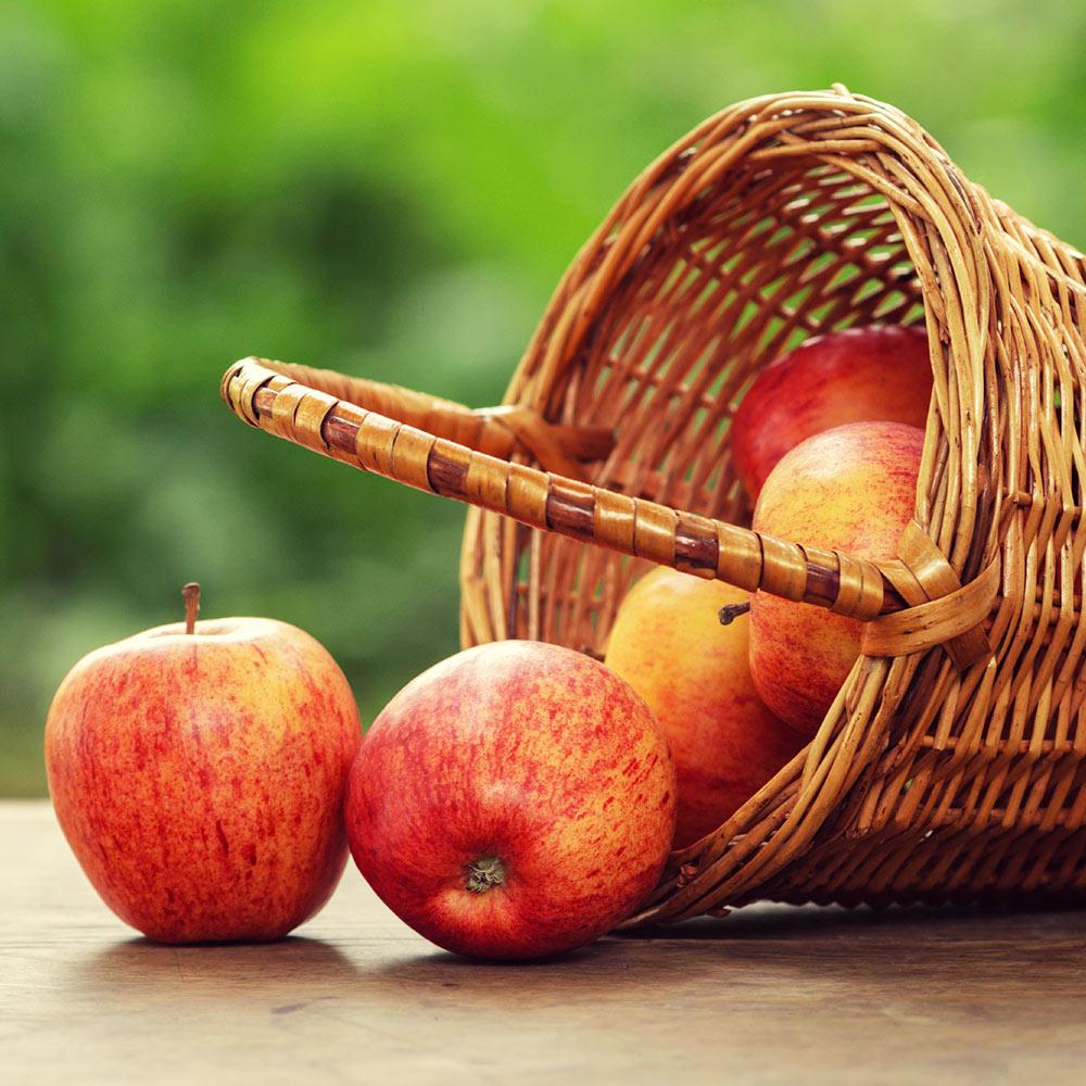 Gala_Apple_3_ce248c10-0dfc-4a24-aabb-8d6576c58f79