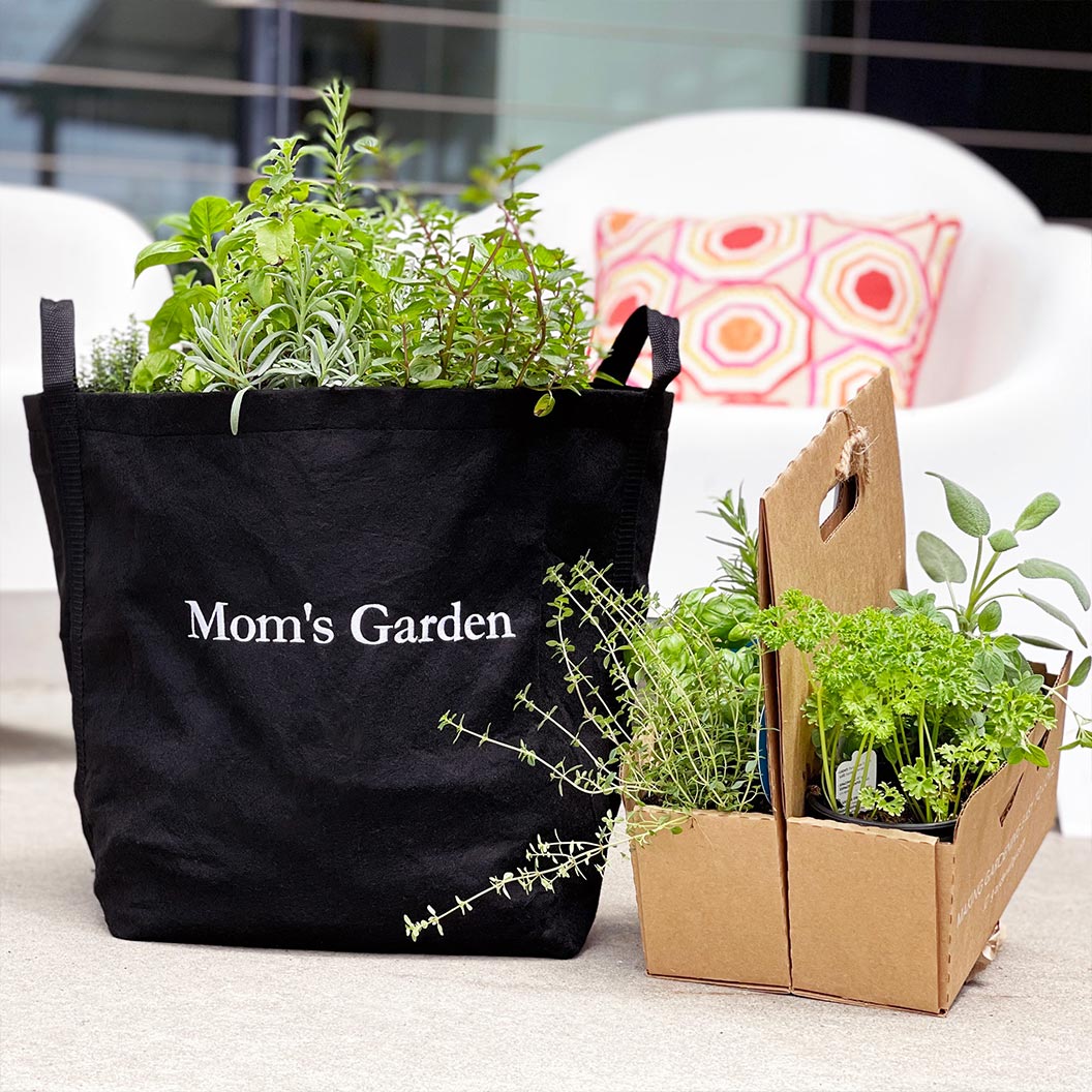 Gardenuity-Moms-garden-2_f89bdfd6-2986-4ce9-83bd-02de718f5ff7