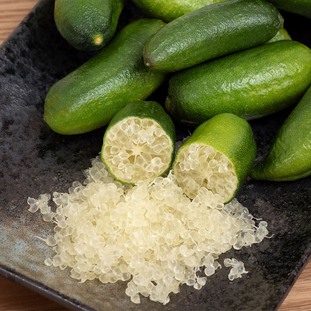 Giant-FInger-Lime-2_ec848507-16fa-4f79-a03b-7d31f7789843