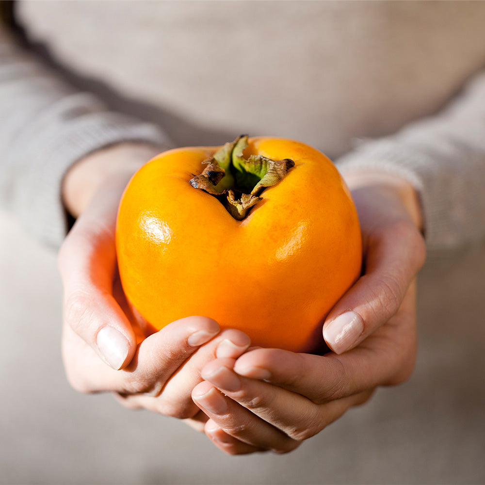 Giant_Persimmon_3