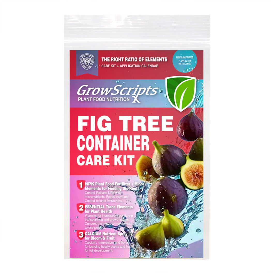 Growscripts-Liquid-Fiddle-Fig-2_8c737e61-0771-412c-9e9f-2ff832a4bf51