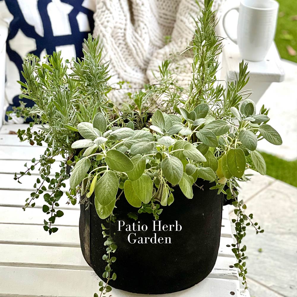 Herb_Garden_kit_2
