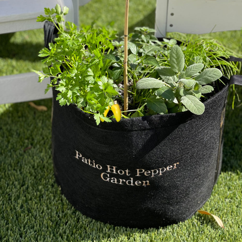 Hot_Pepper_Garden_1