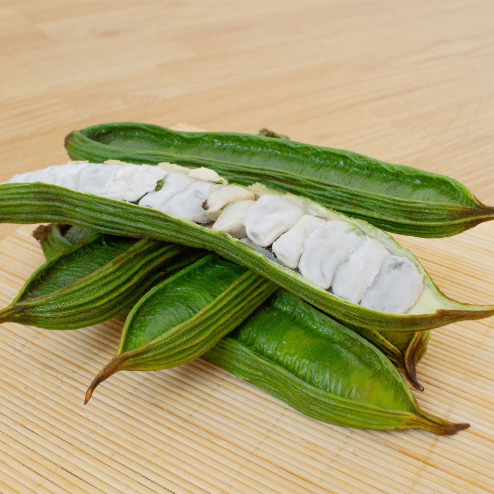 Ice_Cream_Bean_1