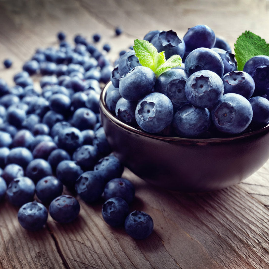 Legacy_Blueberry_53123adb-0301-4eab-ac52-fdbc00a9b56f