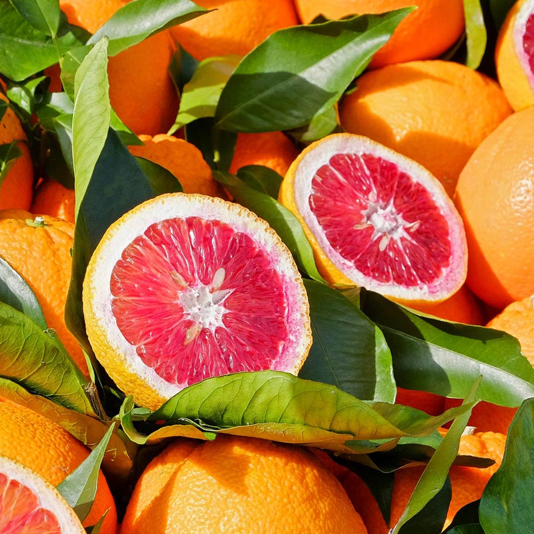 Moro_Blood_Orange_1_FGT_dffb79a5-fd77-4b0f-b50b-378d1fc55ce0
