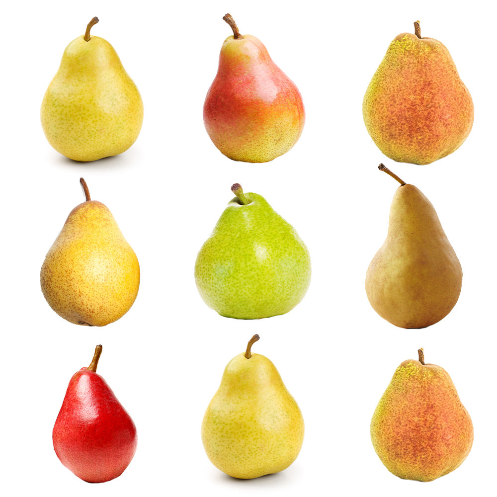 Multifruit_Pear_67f695fd-3a76-49aa-866b-7aba03ae3f1f