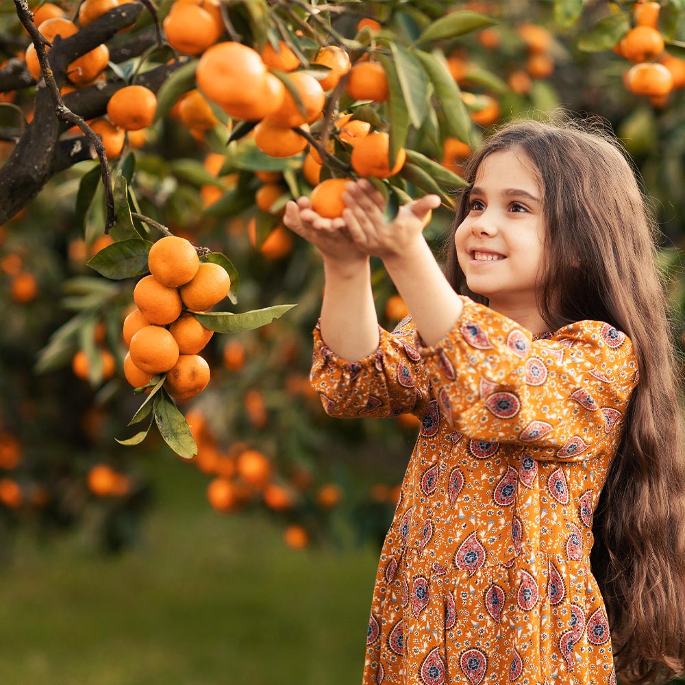 Page_Mandarin_Tree_3_FGT