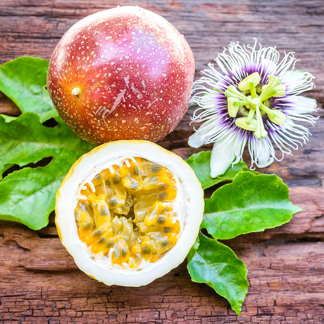 Passion-Fruit-Vine-2_25d804d9-0761-4fba-b555-b4ee55d20bc8