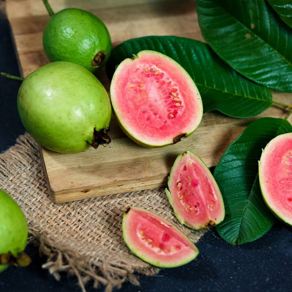 Pink_Guava_2_FGT