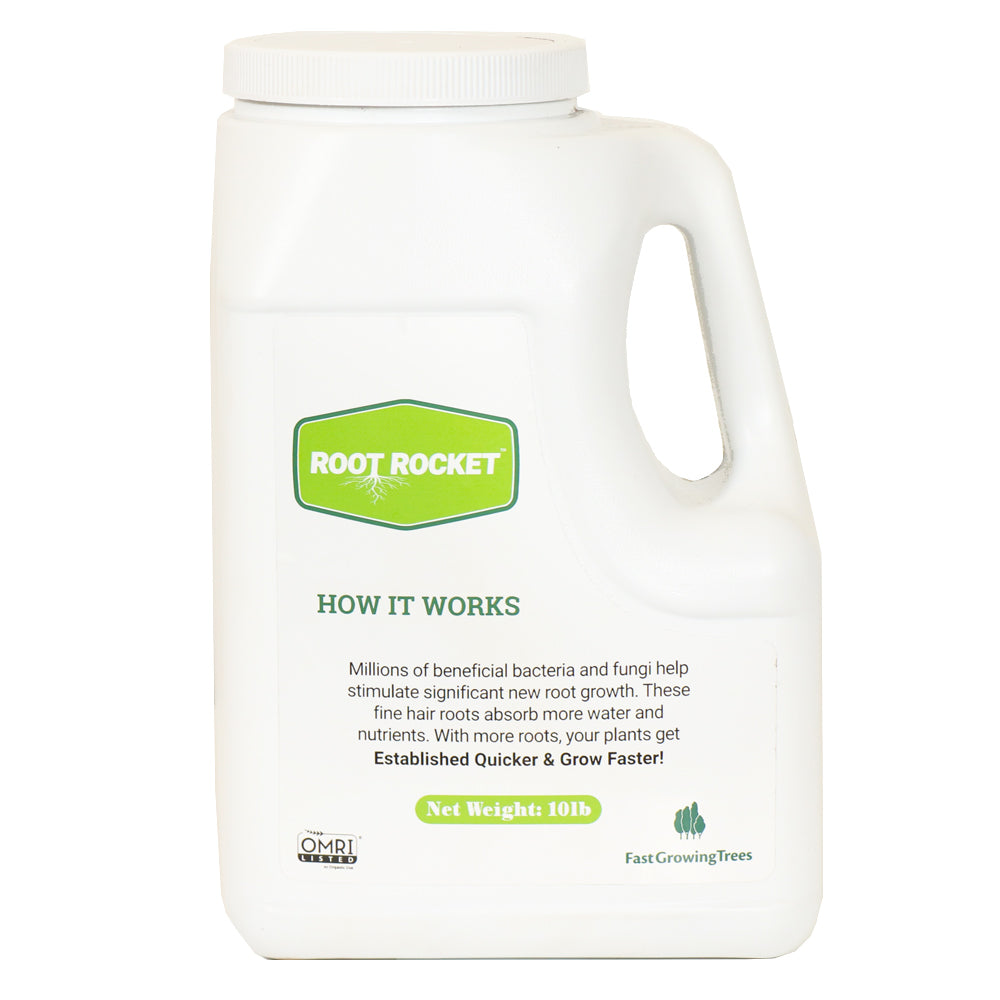 Root-Rocket-10G_1