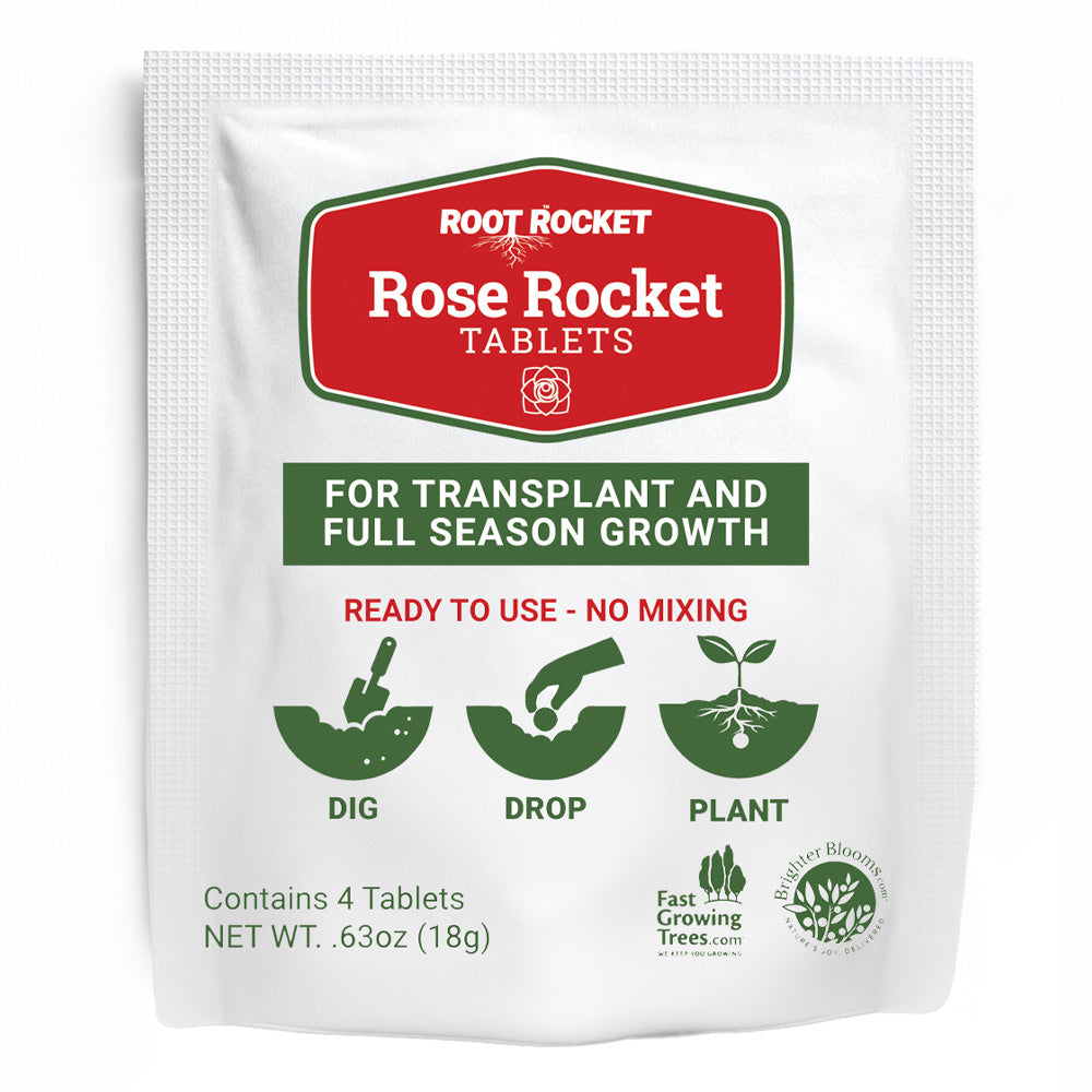 Rose_Rocket_Front