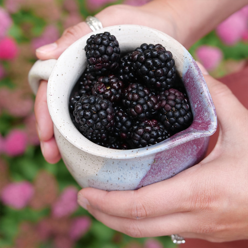 TASTE-OF-HEAVEN-Blackberry-Shrub-4
