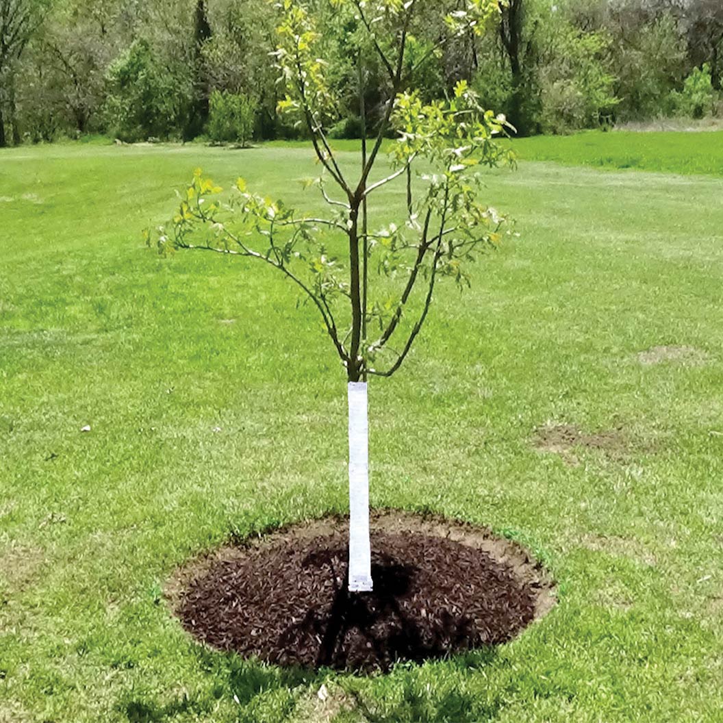 TREE-SLING-1