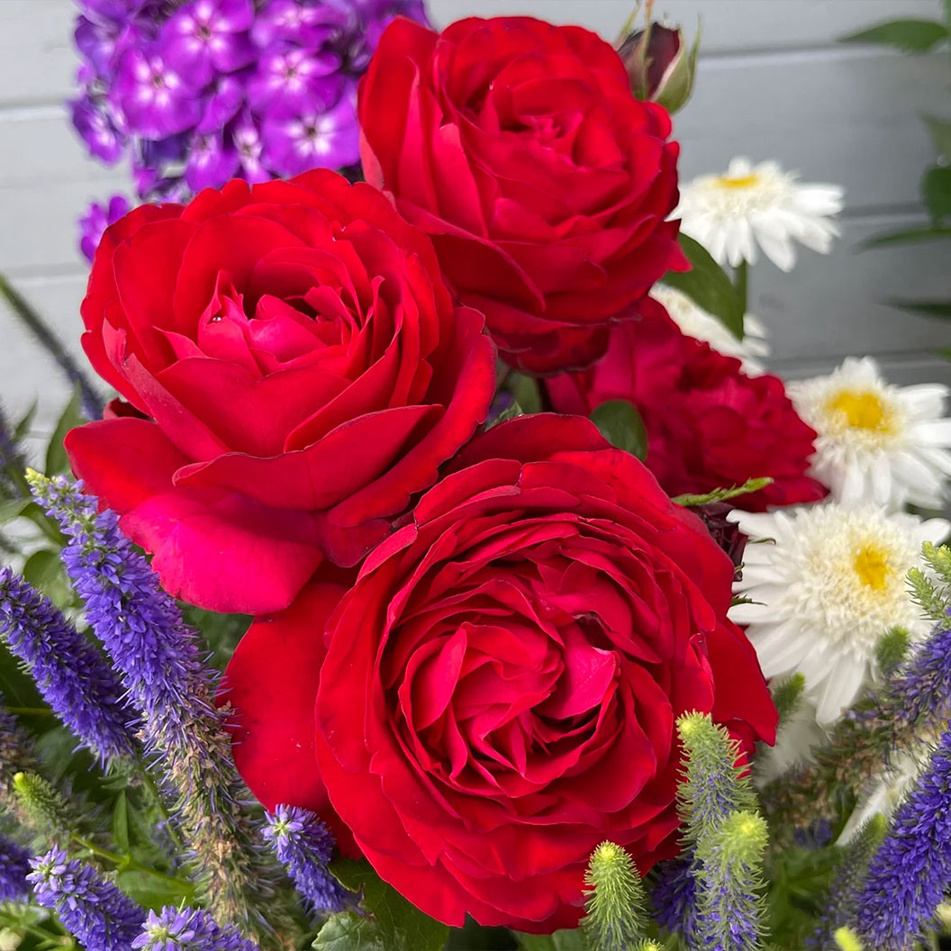 Tiamo-rose_1e31358a-f64b-481e-ac94-efae08644ed0