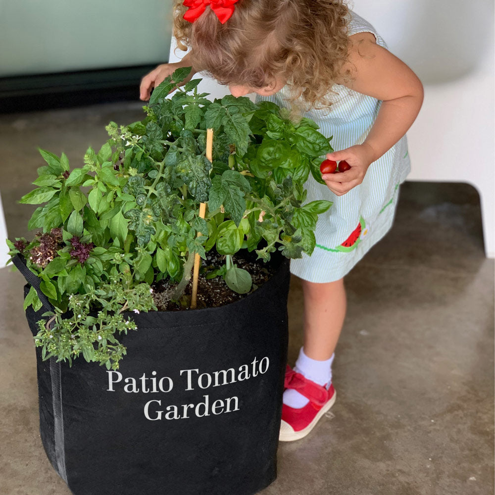 Tomato_Garden_kit_4