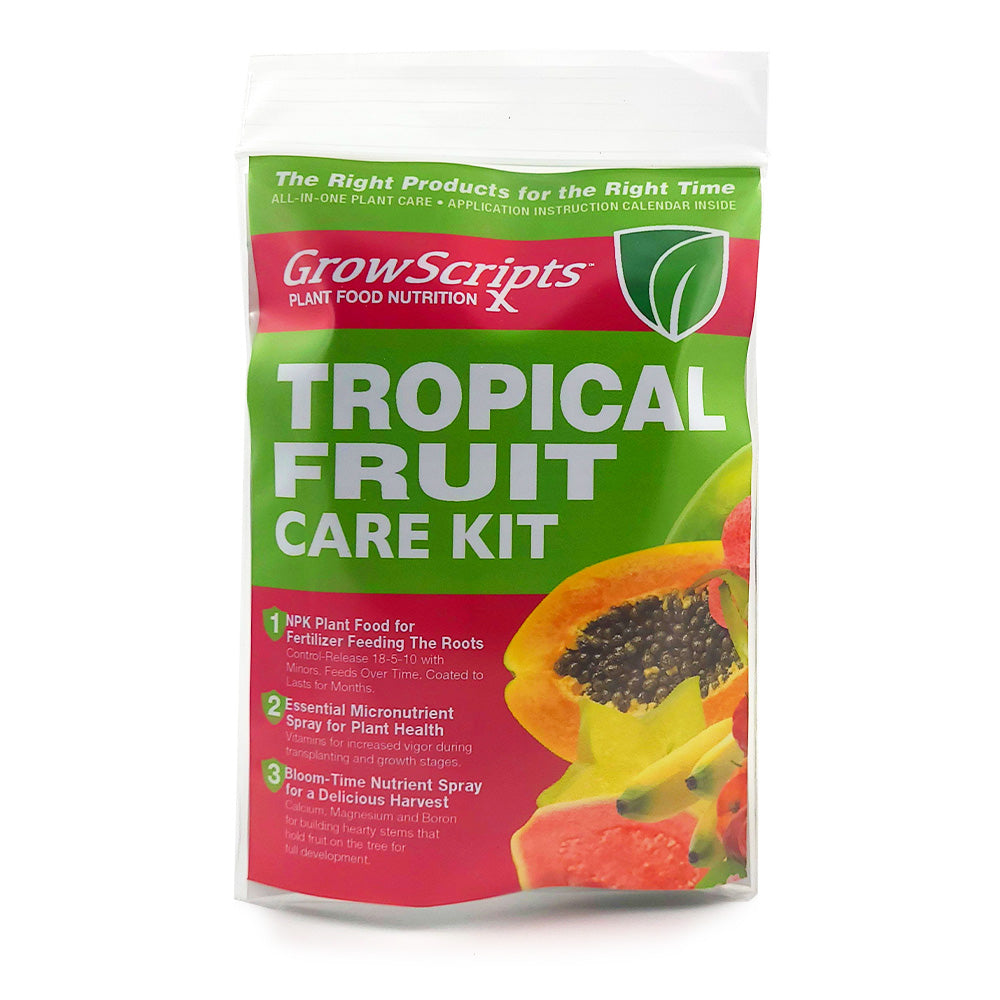 Tropical_Fruit_Tree_1