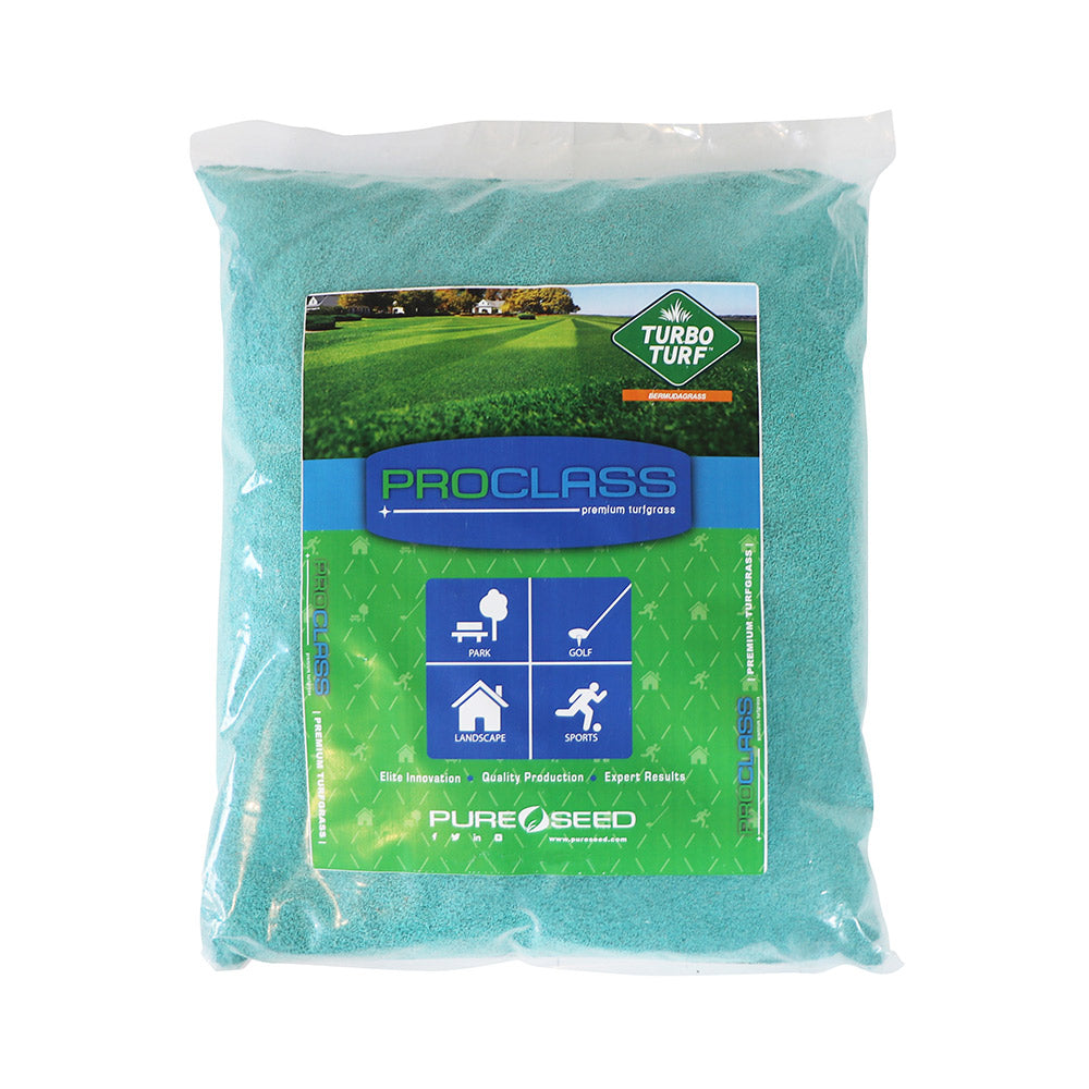 TurboTurf-Bermudagrass