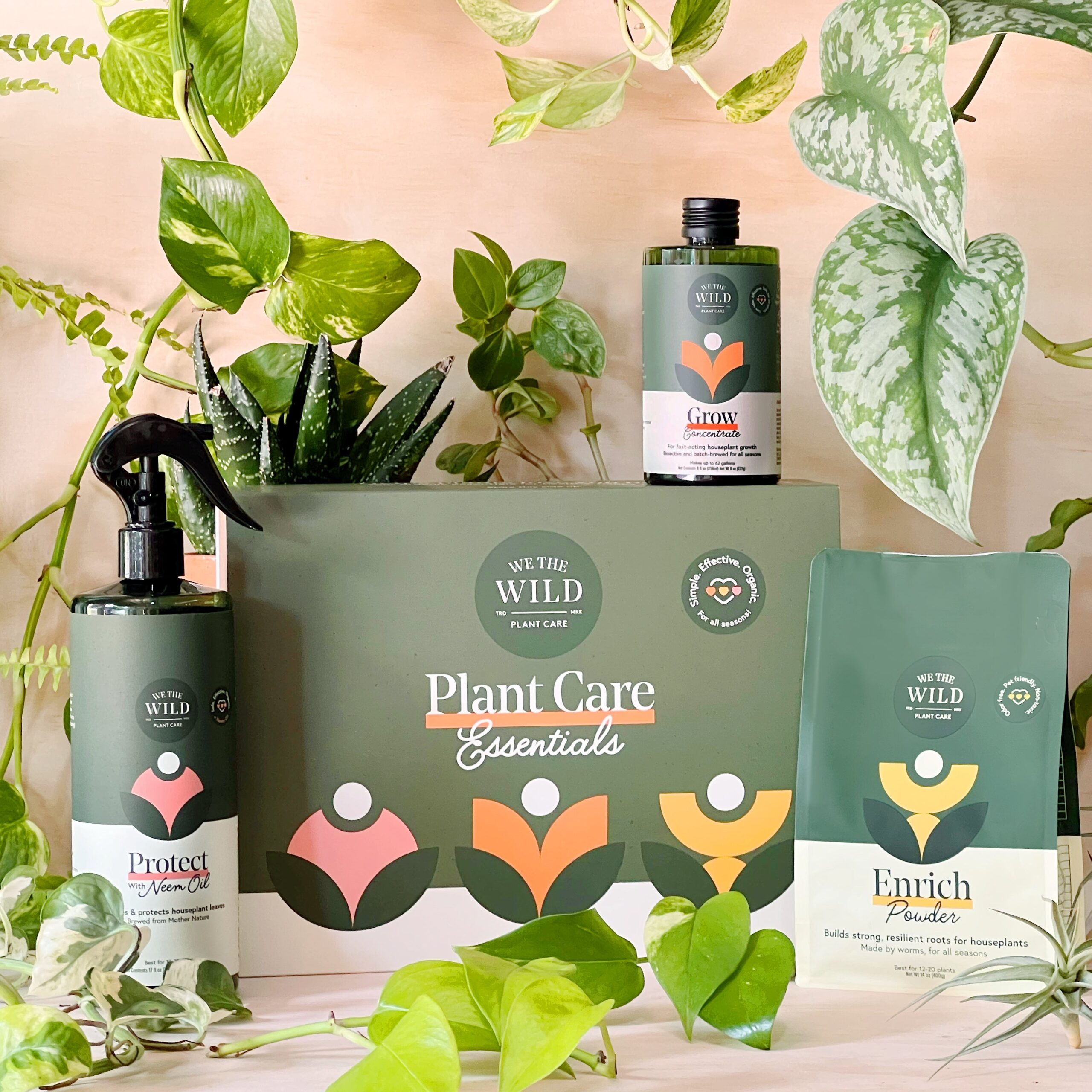 WeTheWildHouseplantCareEssentialKitGeneric1-SarahGerson_1054885c-ec95-4a14-965d-52f35cbad4f8