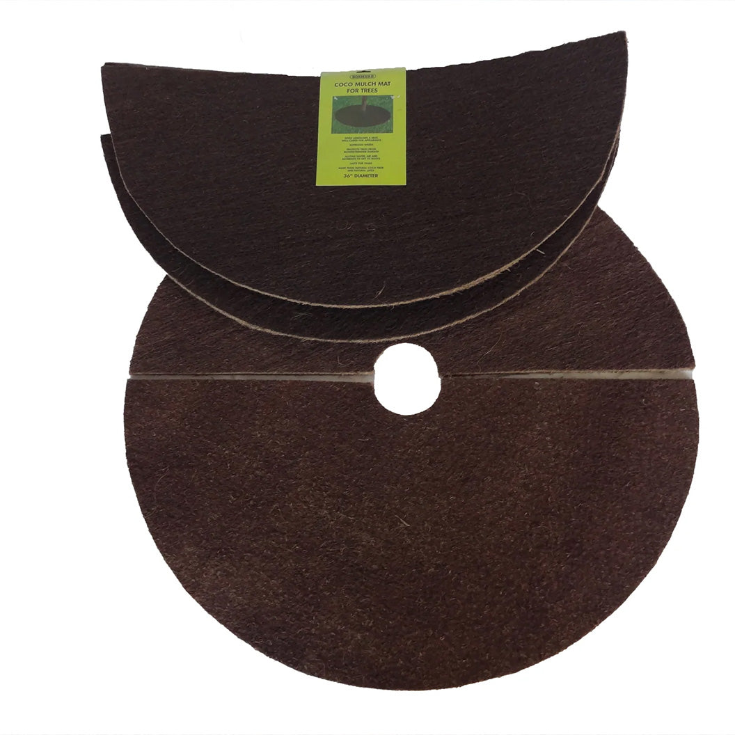 coco-fiber-rings-1_4db4dd92-9363-49b5-a804-4891878d863a