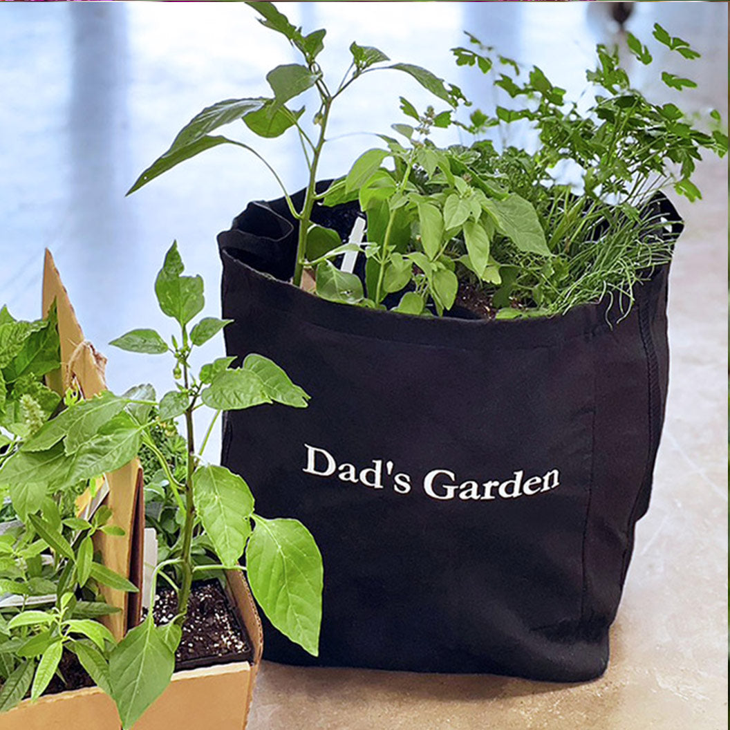 dadsgarden-pepper_3_9ce65bb4-8aef-46cf-9a09-72265ee5d9c3