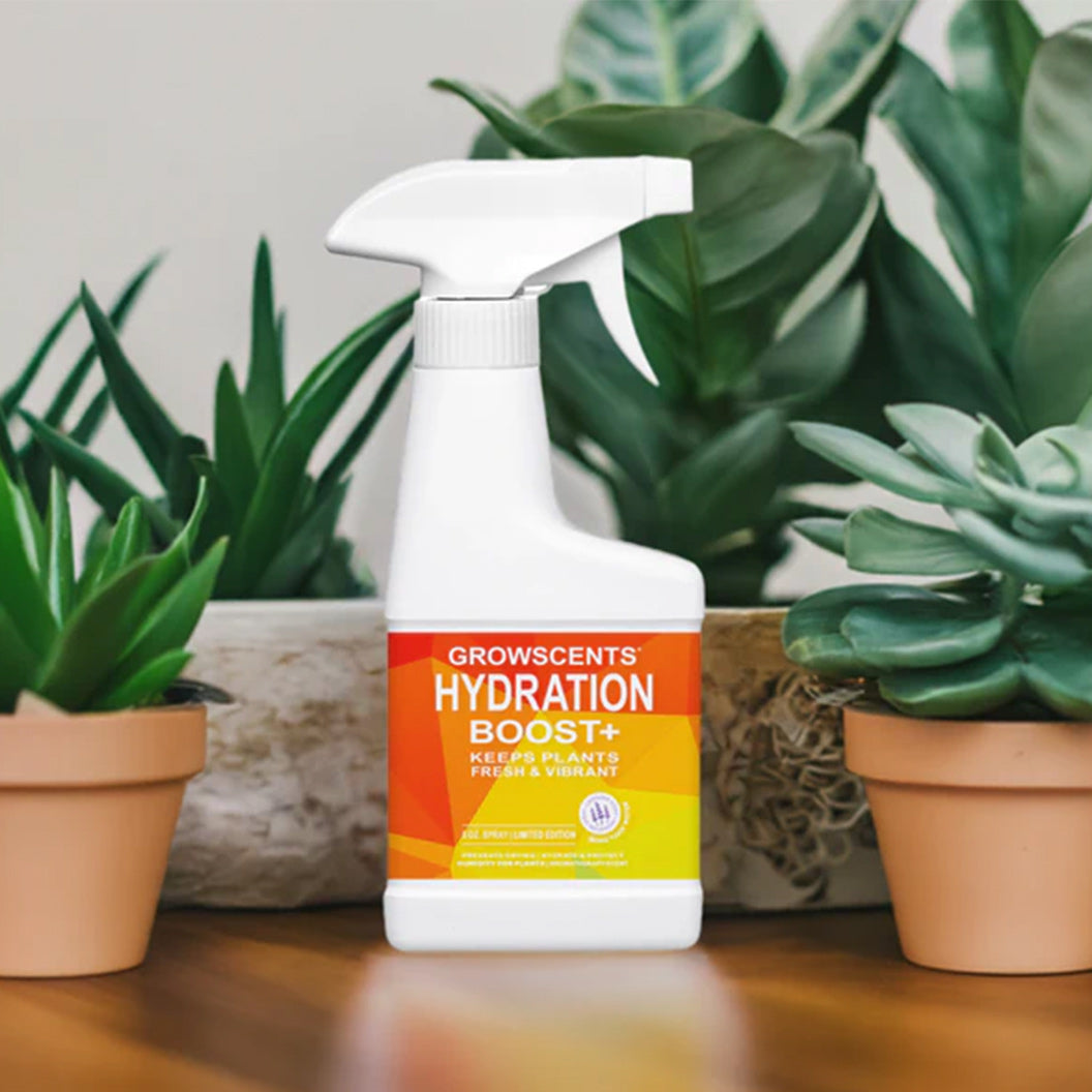 hydration-boost-1_b1d6ad65-2317-41e1-b4b3-57a5934c6b37
