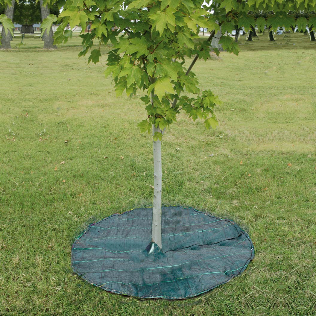 tree-mat-circle-1_5436ab7c-0bd5-4d36-a8d9-07654697fa10