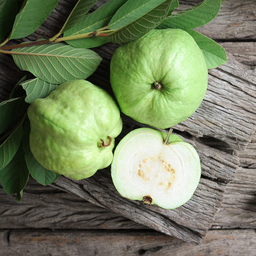 white-guava-1_08553bd5-8067-4dd1-84b3-0c18516a36bf